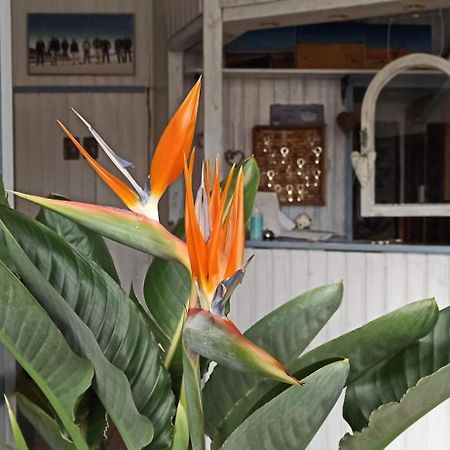 B&B Fischerstueble - Adults Only Hagnau Bagian luar foto
