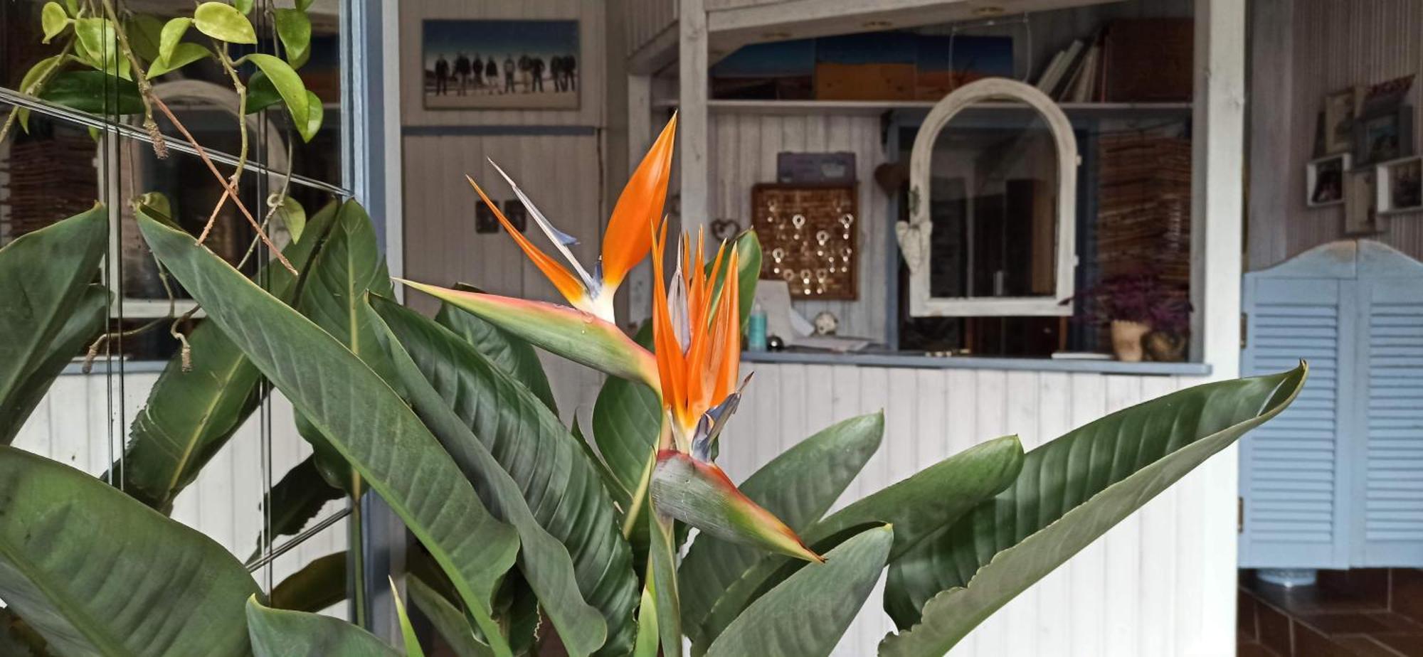 B&B Fischerstueble - Adults Only Hagnau Bagian luar foto